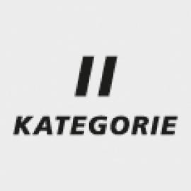icon_PSA_Kategorie_2.jpg