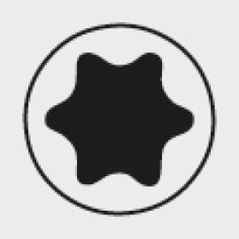 icon_Schraubprofil_TORX.jpg