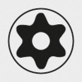 icon_Schraubprofil_TORXmit Bohrung.jpg