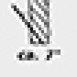 icon_Spiralwinkel_7Grad_links.jpg