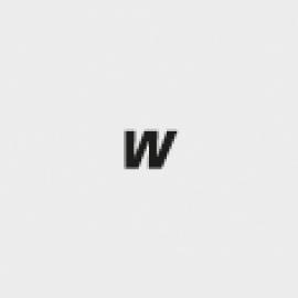 icon_Typ_W.jpg