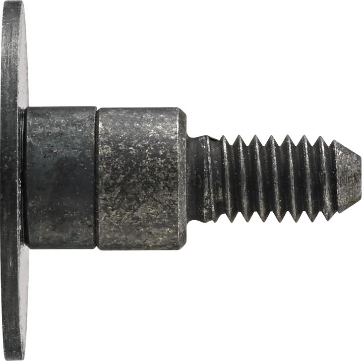 Messeinsatz Stahl Teller 10x0,5mm KÄFER Produktbild img1 L