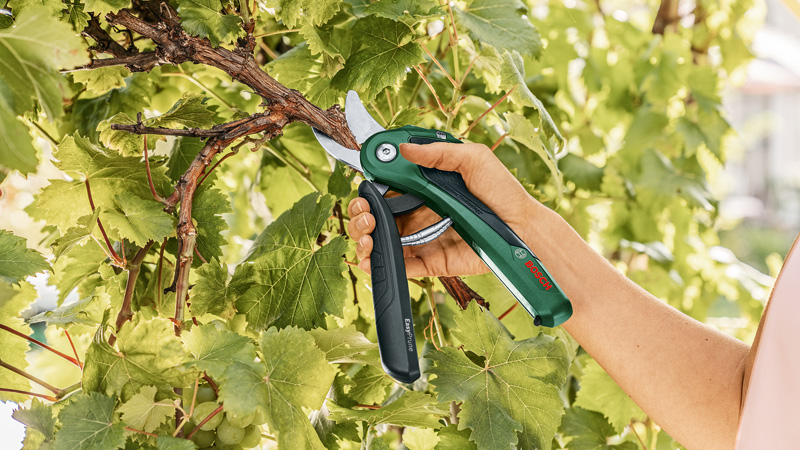 Akku-Gartenschere EasyPrune Produktbild img2 L