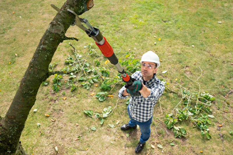 Akku-Gartenschere AdvancedPrune 18V-45 Verlängerungsstange Produktbild img2 L