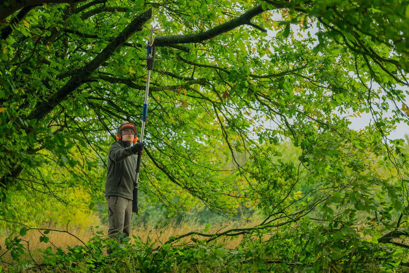 Akku-Teleskop-Hochentaster GKE 18V-25 TP Produktbild img6 L