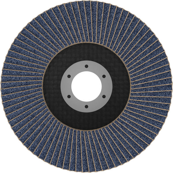 X451 Fächerschleifscheibe, 125 x 22,23&nbsp;mm, K120, Z27, 15-tlg Produktbild img2 L