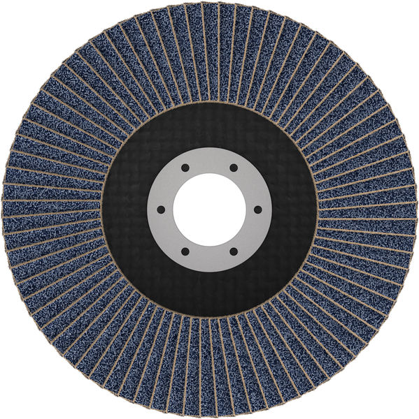 X451 Fächerschleifscheibe, 125 x 22,23&nbsp;mm, K80, Z29, 15-tlg Produktbild img2 L