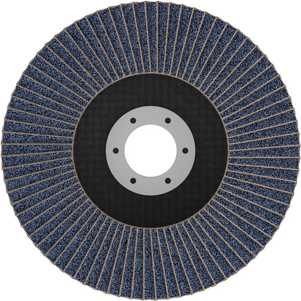X451 Fächerschleifscheibe, 125 x 22,23&nbsp;mm, K80, Z29, 60-tlg Produktbild img2 L