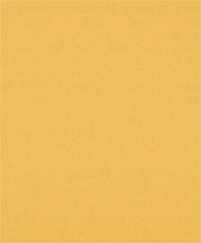 EXPERT C470 Schleifblatt, 230x280mm, K120, keine Löcher Produktbild