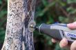 DREMEL® EZ SpeedClic: Schleifscheiben Produktbild img4 S