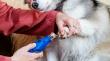 DREMEL® 7350 PET Krallenpflegeset Produktbild img4 S