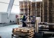 EXPERT S1122CHM Hard Nail Pallets Säbelsägeblatt Produktbild img8 S