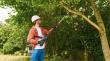 Akku-Teleskop-Hochentaster UniversalChainPole 18 Produktbild img4 S