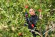 Akku-Gartenschere AdvancedPrune 18V-45 Produktbild img4 S