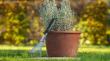 Handwerkzeuge Gartenhandrechen Produktbild img2 S