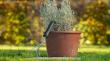 Handwerkzeuge Gartengrubber Produktbild img2 S