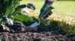 Handwerkzeuge Gartenkelle Produktbild img4 S