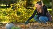Handwerkzeuge Gartenhandrechen Produktbild img4 S