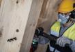 PRO Wood Holzschlangenbohrer Set, L450 mm, 6-tlg. Produktbild img7 S