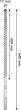 EXPERT SDS max-8X Hammerbohrer, 17 x 400 x 540 mm Produktbild img4 S
