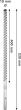 EXPERT SDS max-8X Hammerbohrer, 19 x 400 x 520 mm Produktbild img4 S