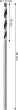 Metallspiralbohrer HSS PointTeQ, DIN 338, 1,5 mm, 2er-Pack Produktbild img3 S