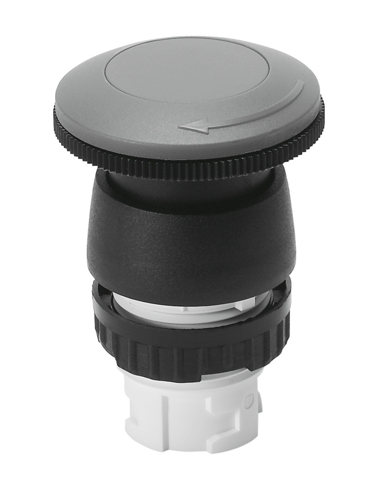 PR-22-RT Schlag-Rasttaster Produktbild img1 L