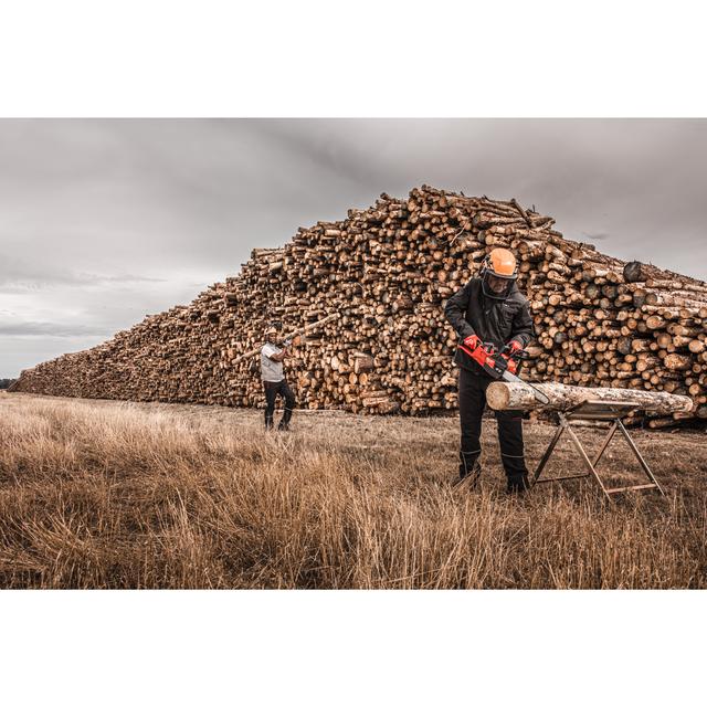 BOLT200 IND.KLETTERHELM ORANGE BELÜFTET Produktbild img3 L