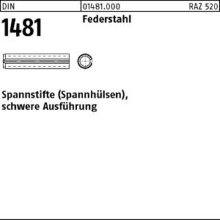 DIN 1481 Federstahl 14 x 45 S Produktbild img1 L