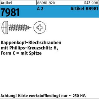 ART 88981 Kappenschr. ähnl.7981 A 2 3,9 x 38 -H A 2 S Produktbild img1 L