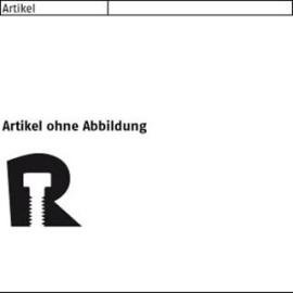 ART 81005 FISCHER-ULTRACUT FBS II A 4 10 x 100 15/ - US S Produktbild