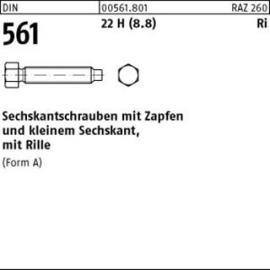 DIN 561 22H / 8.8 AM 8 x 20 S Produktbild