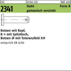 ISO 2341 Stahl B 10 h11 x 50 x 45,5 galv. verzinkt gal Zn S Produktbild