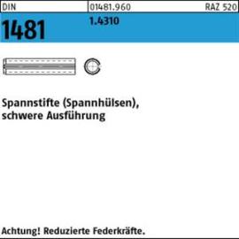 DIN 1481 1.4310 10 x 36 rostfrei S Produktbild