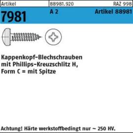 ART 88981 Kappenschr. ähnl.7981 A 2 3,9 x 9,5 -H A 2 S Produktbild