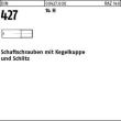 DIN 427 14 H M 10 x 50 S Produktbild
