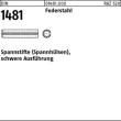 DIN 1481 Federstahl 10 x 100 K Produktbild