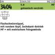 DIN 3404 5.8 M 10 x 1 SW 17 gal Zn, m. rundem Kopf gal Zn S Produktbild