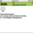 DIN 3404 5.8 G 1/4 - 22 SW 22 gal Zn, m. rundem Kopf gal Zn S Produktbild