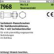 DIN 7968 Mu 5.6 / CE M 20 x 85 feuerverzinkt tZn S Produktbild