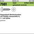 ART 88981 Kappenschr. ähnl.7981 Stahl gal Zn 3,9 x 25 -H gal Zn S Produktbild