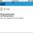 DIN 603 A 2 M 16 x 55 A 2 S Produktbild img1 S