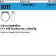 DIN 3017 1.4016 C1 23- 25/18 -W2 Schraube galv. verzinkt S Produktbild
