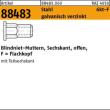 ART 88483 Blindniet-Mu. St. gal Zn m. 6-kt Flako M 6 / 0,5 -3,0 S Produktbild