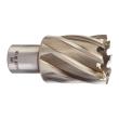 KERNLOCHBOHRER 31X30MM HSS KURZ Produktbild