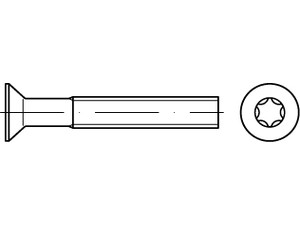 DIN 965 4.8 M 5 x 50 -T galv. verzinkt, Innensechsrund gal Zn S Produktbild img1 L