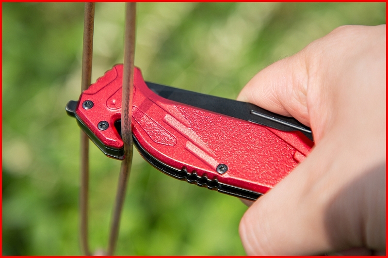 Klappmesser mit Arretierung und Gurtschneider Produktbild img9 L