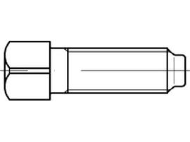 DIN 479 8.8 M 8 x 20 S Produktbild