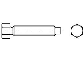 DIN 561 22H / 8.8 AM 30 x 160 galv. verzinkt A2F gal Zn S Produktbild