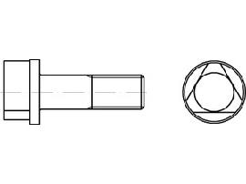 DIN 22424 8.8 AM 10 x 30 S Produktbild